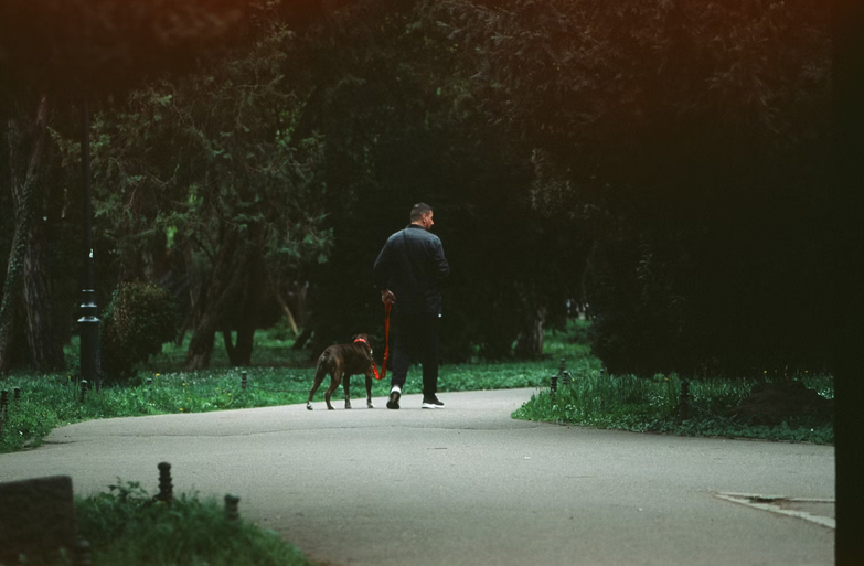 dog walking